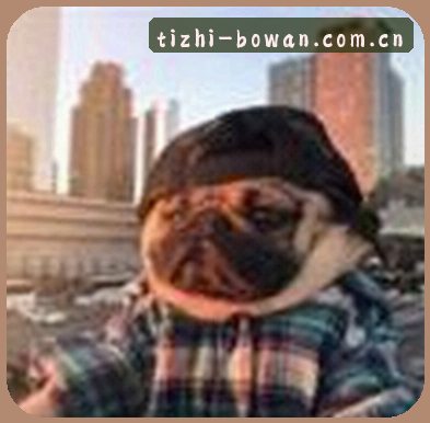 吴敏